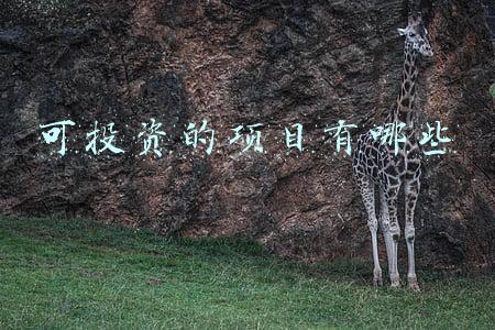 投资项目可研报告(产业园建设项目案例：海洋数字科技产业园项目建设可行性报告)