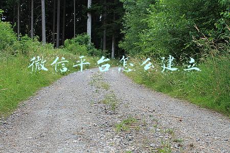 微信平台怎么建立