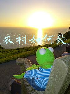 在农村如何致富