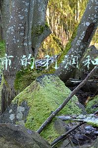 开超市的利润和风险