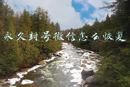 永久封号微信怎么恢复 永久封号微信怎么恢复