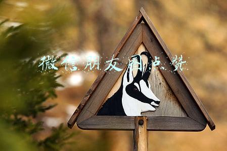 微信朋友圈点赞
