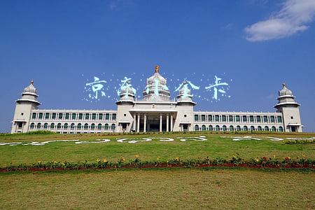 京东小金卡