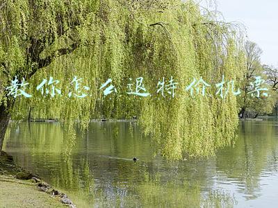 特价机票退票能退多少(退票手续费不得高于实际价格！新规“阶梯费率”：特价机票也能退改签，怎么分、退多少？)
