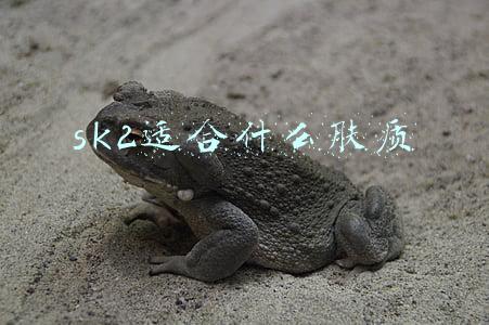 sk2适合什么肤质