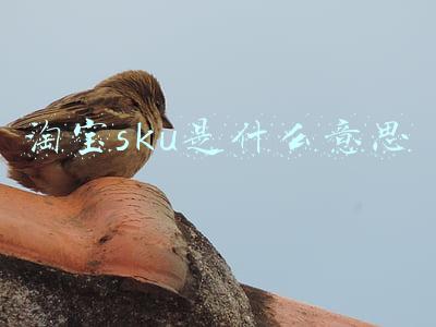 淘宝sku是什么意思