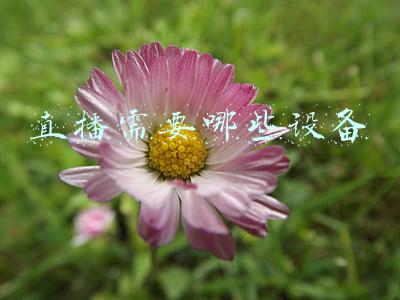 直播需要哪些设备
