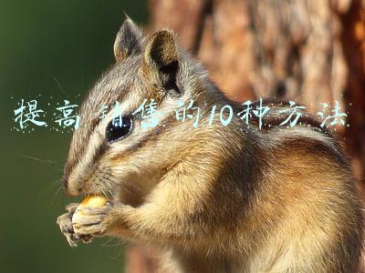 提高销售的10种方法