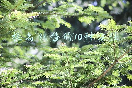 提高销售的10种方法