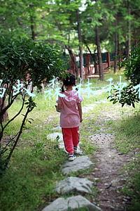 蚂蚁森林种树