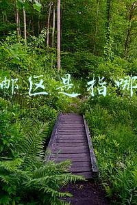 包邮区是指哪里