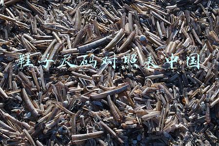 鞋子尺码对照表中国