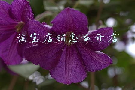 淘宝开店步骤(淘宝新手开店大体步骤，这么做你就不懵了，小白必看)