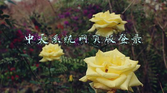 中通中天系统网页登录(消费维权周报｜上周预付充值卡投诉增多，涉健身、教育等领域)