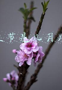 男生节是几月几号