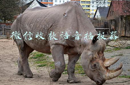 微信收款语音播报器在哪里设置(《微信》收款语音播报设置方法)
