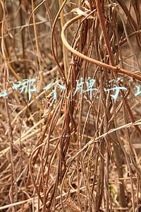 扫地机哪个牌子比较好