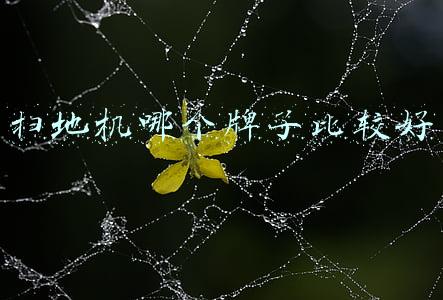扫地机哪个牌子比较好