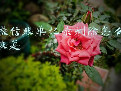 微信账单记录删除后可以再看到吗(企业微信聊天记录删除能查到吗？聊天内容能看到吗？)
