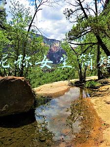 淘宝昵称女生简短好听