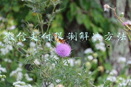 微信支付限制解决方法