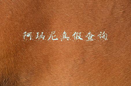 阿玛尼真假查询