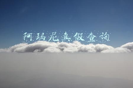 阿玛尼真假查询