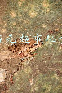 义乌两元超市配货中心