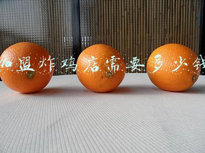 炸鸡腿加盟店多少钱，临榆炸鸡腿加盟多少钱？