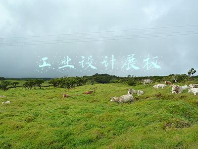 工业设计展板