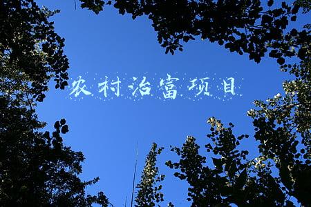 农村治富项目 农村治富项目