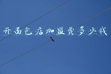 面包好了加盟费是多少，面包好了加盟费多少钱？
