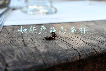 如新产品怎么样