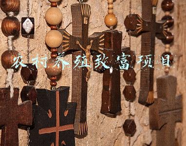 农村养殖致富项目