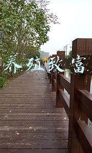 农村养殖致富项目