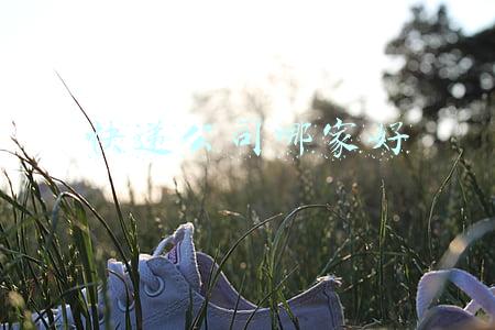 快递公司哪家好,我想当快递员(30万快递小哥，人均月薪超1万！千亿物流龙头首份年报来了)