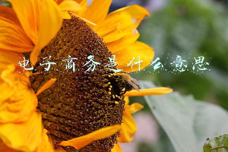 电子商务是什么意思