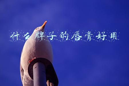 什么牌子的唇膏好用