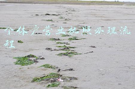 个体户营业执照办理流程