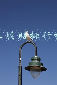眼膜贴排行榜