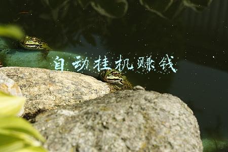 自动挂机赚钱