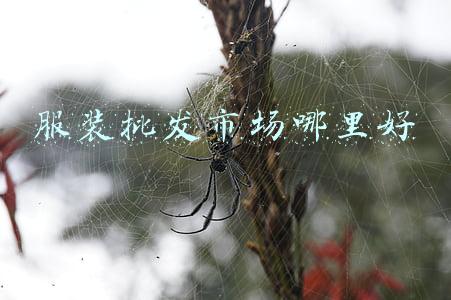 服装批发市场哪里好