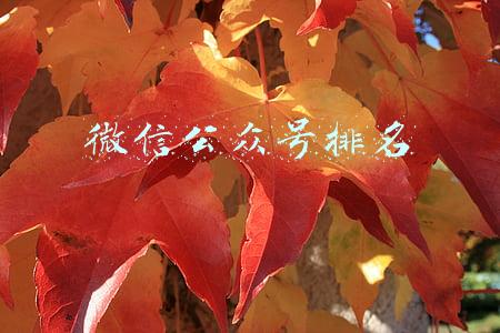 微信公众号排名榜单(2022，口碑极佳的8个公众号)