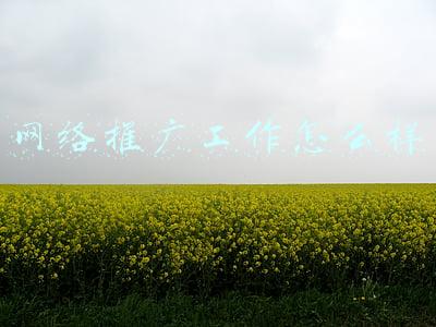 网络推广工作怎么样 网络推广工作怎么样