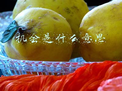 机会成本是什么意思(机会成本定义和名词解释)