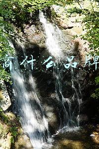 微商什么品牌好