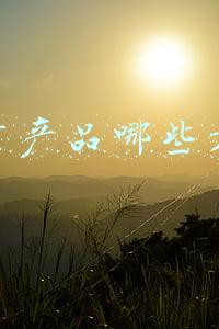 亚马逊产品推广方法(亚马逊广告有哪些推广形式？如何操作？)