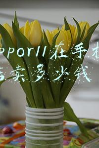 oppor11价格多少钱？-oppor11现在多少钱一台