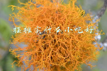 摆摊卖什么小吃好