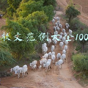 软文范例大全100